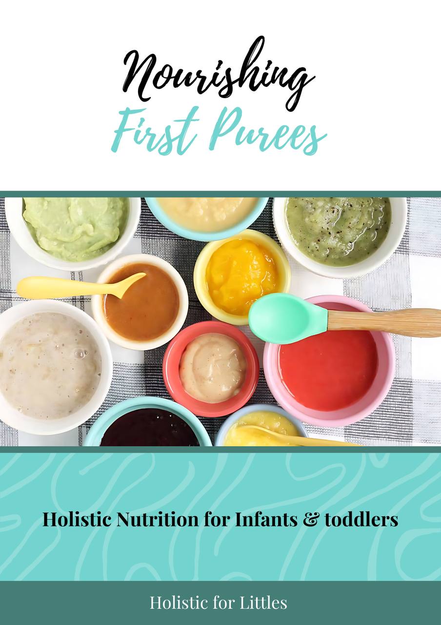 Nourishing First Purees guide cover